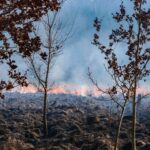 Rook- en stookverbod Opsterland en Heerenveen | Verhoogd risico op natuurbranden