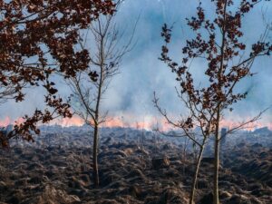 Rook- en stookverbod Opsterland| Verhoogd risico op natuurbranden