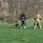 Damhert vast in schrikdraad, jager ingeschakeld