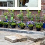 NK Tegelwippen van start.