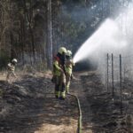 Brandweer uitgerukt voor grote natuurbrand Oranjewoud