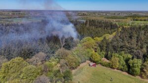 Natuurbrand tijdig geblust in Oranjewoud