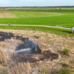 Groot stuk riet in brand in Opeinde
