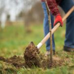 ‘Groener beloont’ subsidies verlengd tot en met 2029 in gemeente Heerenveen