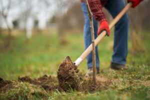 ‘Groener beloont’ subsidies verlengd tot en met 2029 in gemeente Heerenveen